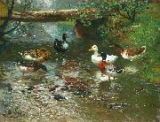 unknow artist Enten am Bach Germany oil painting artist